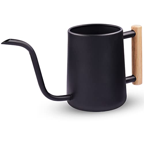 Plant Watering Can with Pour Long Spout 35oz 1L 1/5 Gallon Watering Can