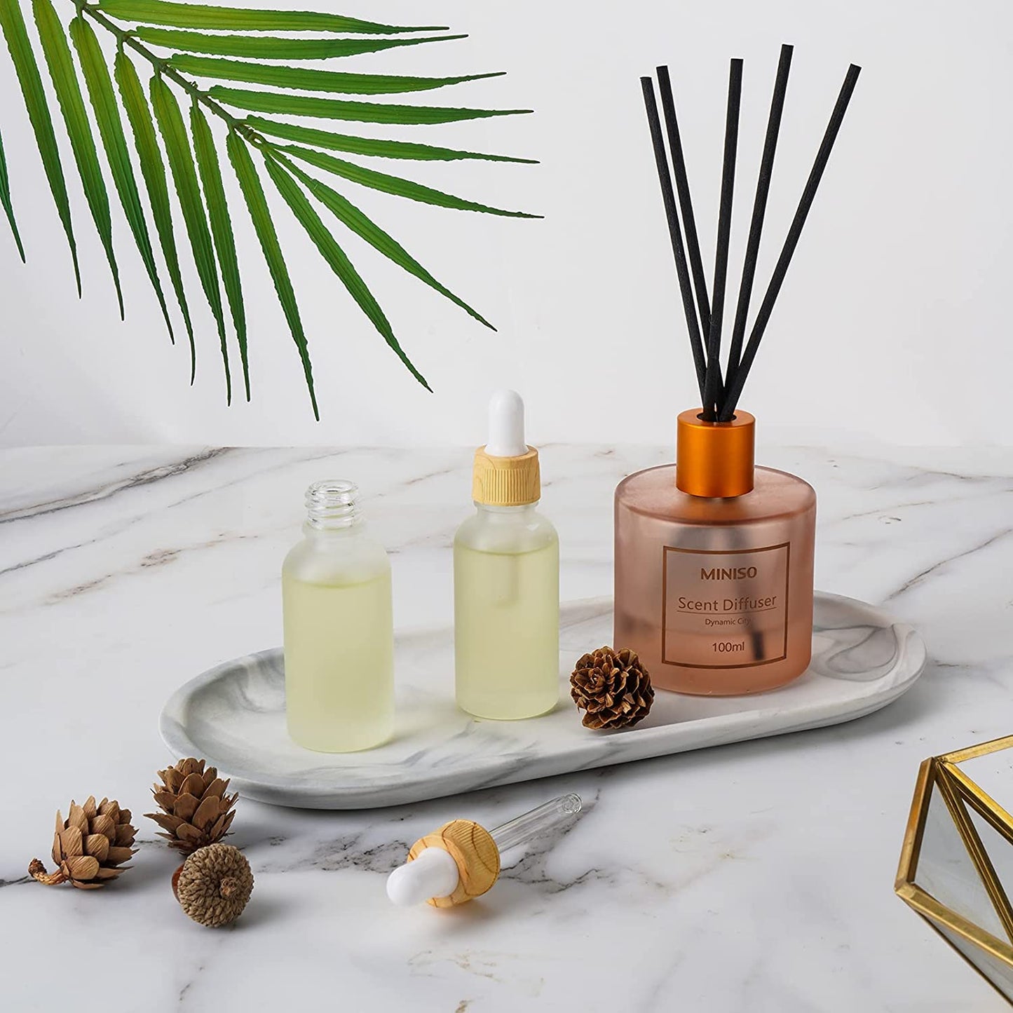 Frosted Glass Dropper Bottles with Glass Droppers & White Cap 6-Pack 1OZ/30ML