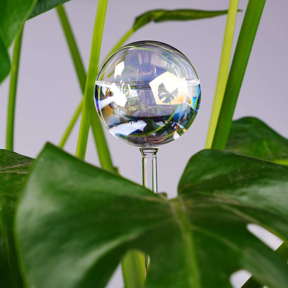 Light Iridescent Rainbow Gradient Clear Glass Self-Watering System Spikes 2PCS