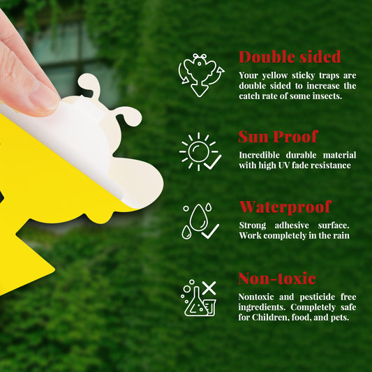 48-Pack Yellow Sticky Fruit Fly Catcher Plant Bug Traps+25PCS Twist Ties, 6 Pa