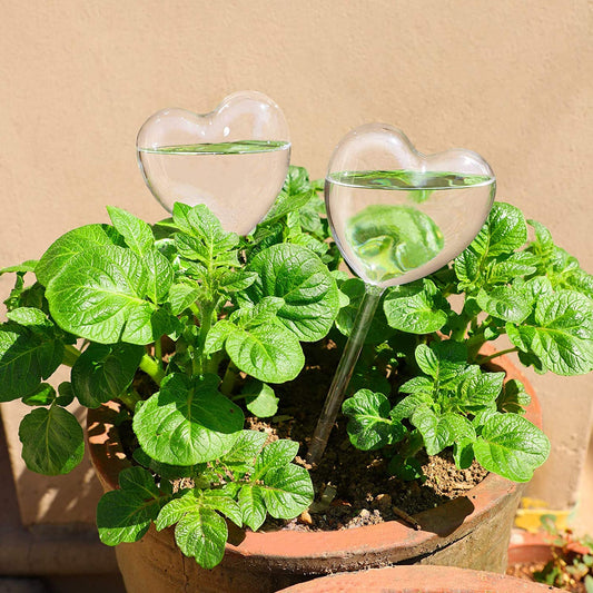 Self Watering Globes 2PC Heart-Shaped Plant Clear Glass Watering Stake Aqua Bulb