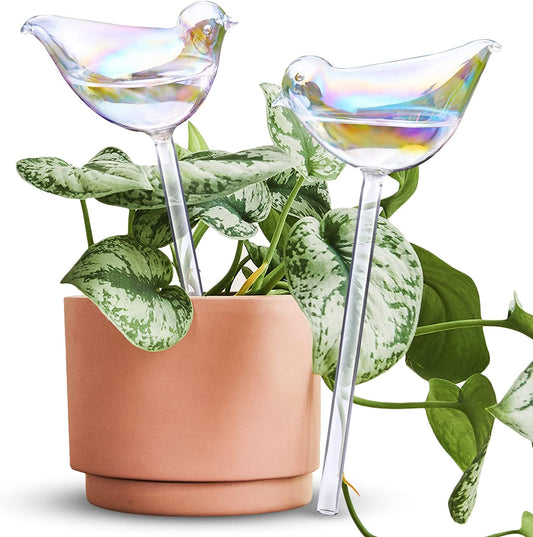 Bird Aqua Spike Plant Watering Globe 2-Pack 10" Light Gradient Glass Globes