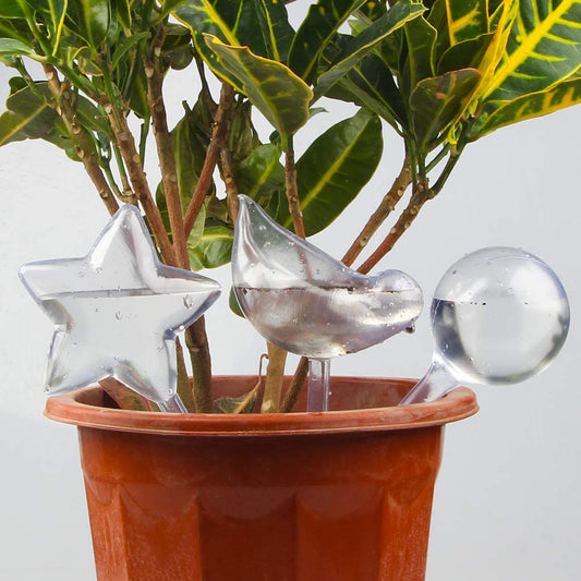 Clear Self-Watering Bulbs 12PCS Transparent Plant Automatic Watering Globes