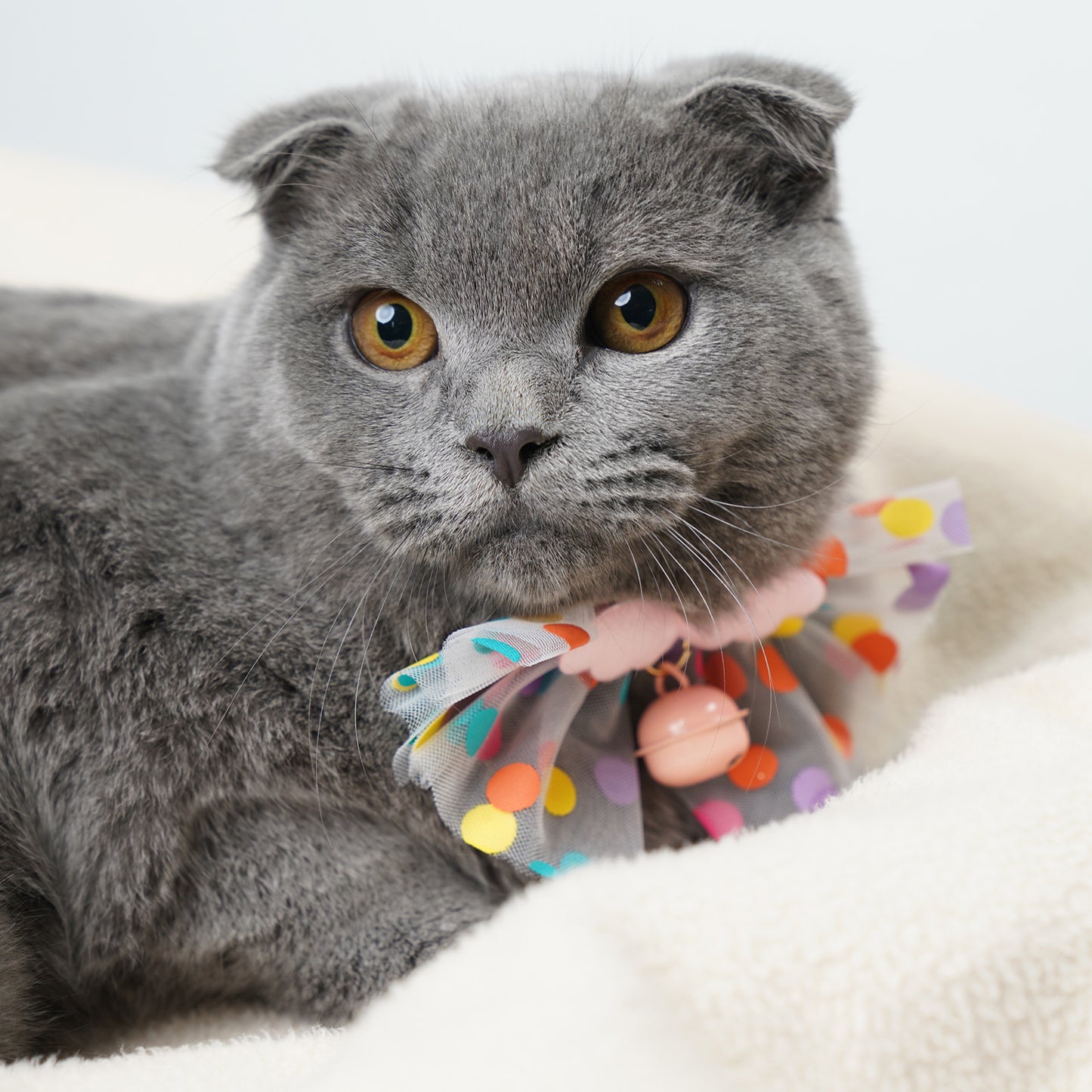 Cat Dog Collars with Bow Tie & Bell 2PCS Pet Safety Mesh Lace Colorful 2 Colors
