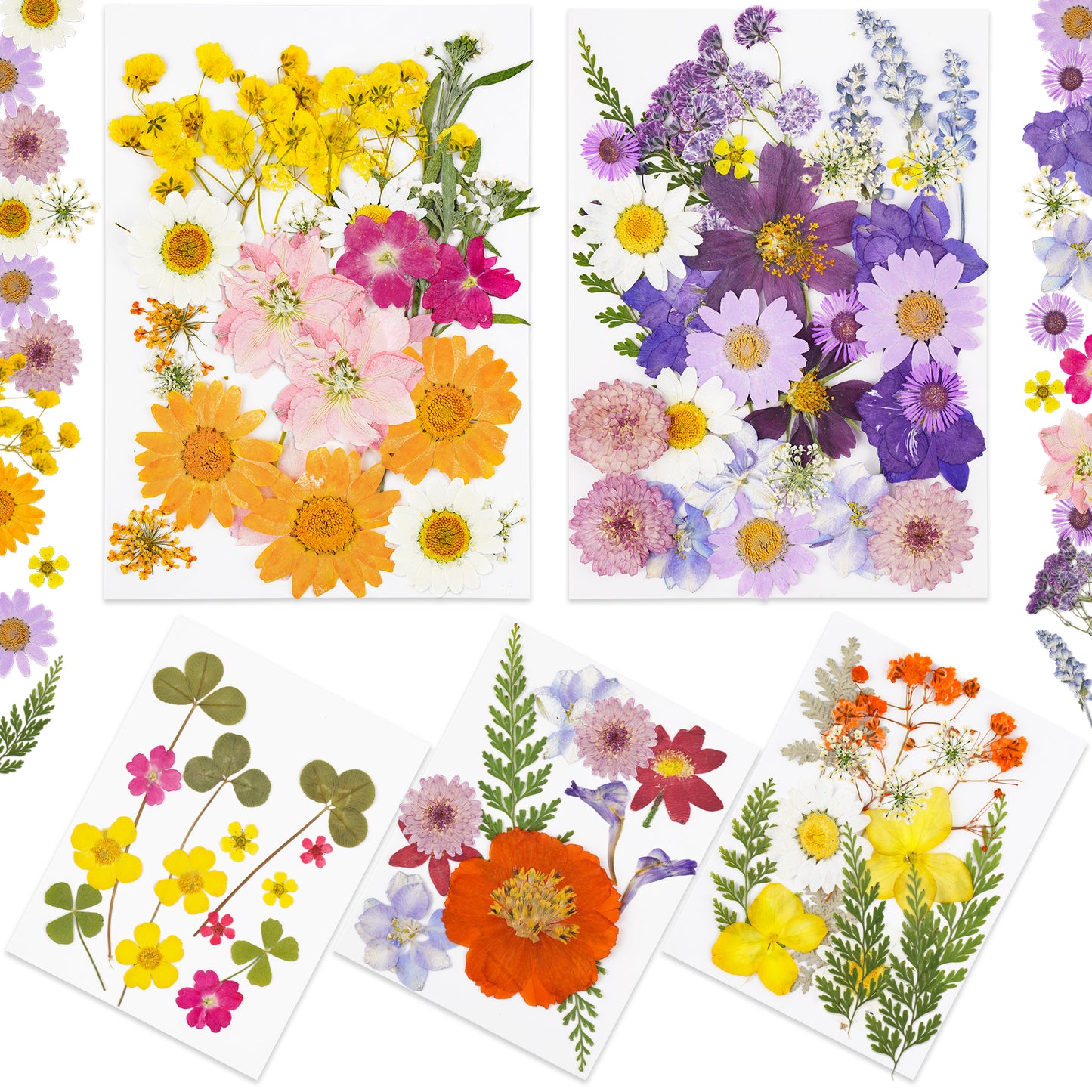 96PCS Real Pressed Dried Flowers with Leaves Natural Warm Color Set, Multiple