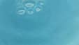 Edible Glitter Powder Luster Dust Metallic Fancy Food Decorating