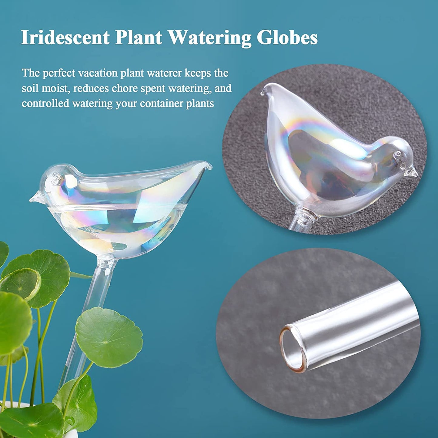 Bird Aqua Spike Plant Watering Globe 2-Pack 10" Light Gradient Glass Globes