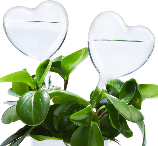 Self Watering Globes 2PC Heart-Shaped Plant Clear Glass Watering Stake Aqua Bulb