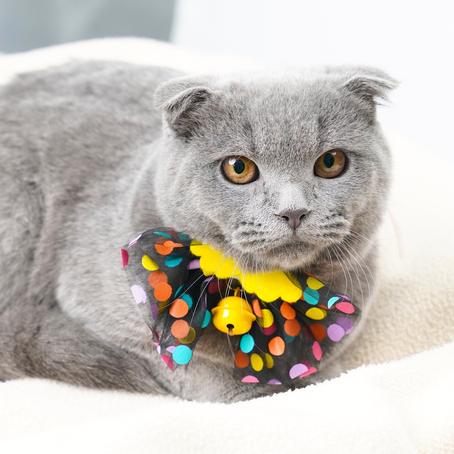 Cat Dog Collars with Bow Tie & Bell 2PCS Pet Safety Mesh Lace Colorful 2 Colors