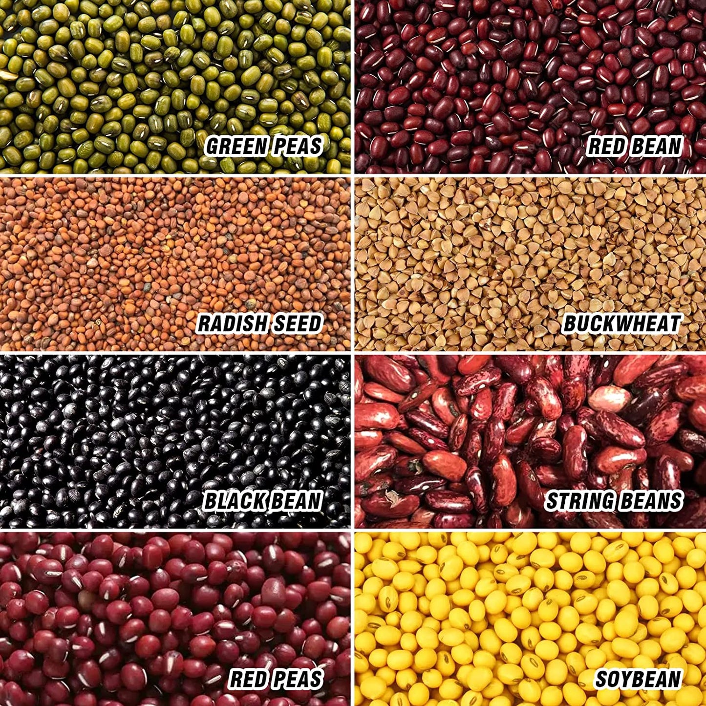 Seed Sprouter Pot Lid Bean Germination Tray Water Strainer Multipurpose Portable