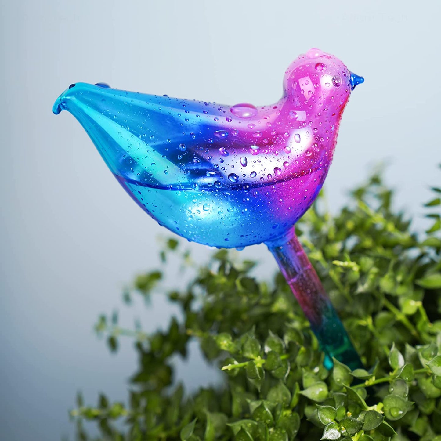 Glass Plant Self Water Bulbs 3PCS Purple Blue Gradient Iridescent Pearl Colorful