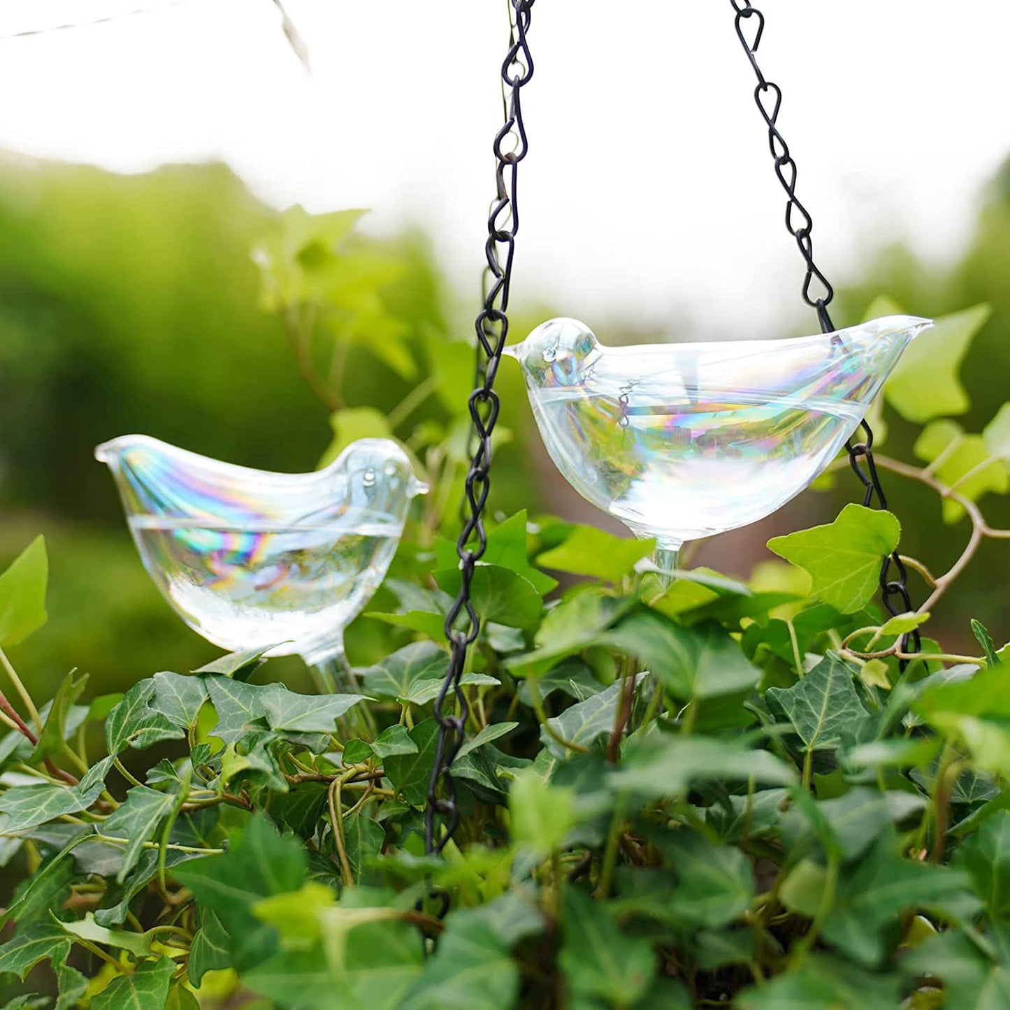 Bird Aqua Spike Plant Watering Globe 2-Pack 10" Light Gradient Glass Globes