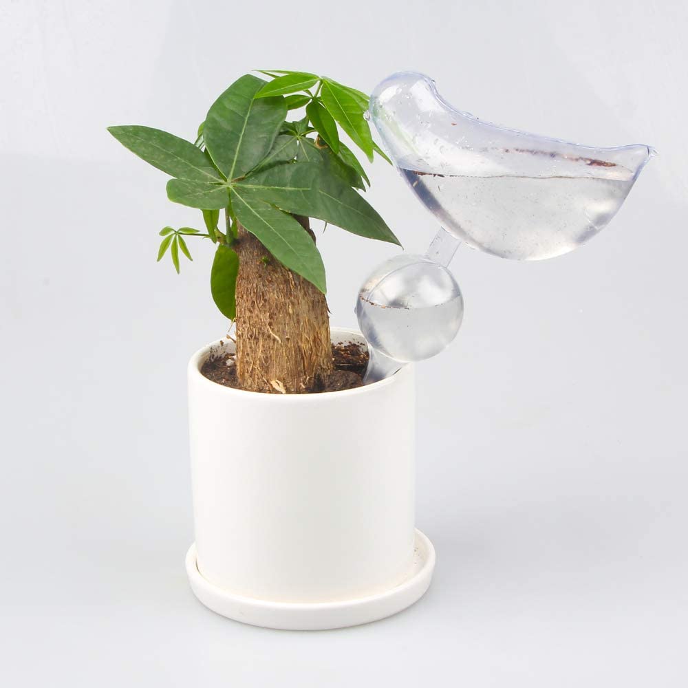 Clear Self-Watering Bulbs 12PCS Transparent Plant Automatic Watering Globes