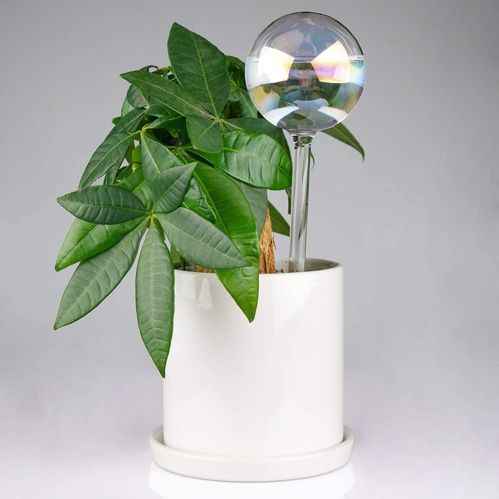Light Iridescent Rainbow Gradient Clear Glass Self-Watering System Spikes 2PCS