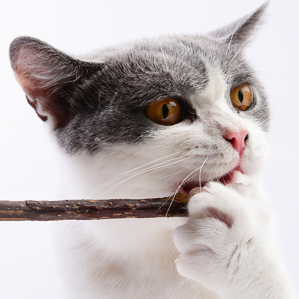 ZooZoo Catnip Silvevine Teaser Cat Toy Set (4xToys+20xMatatabi Chew Sticks)