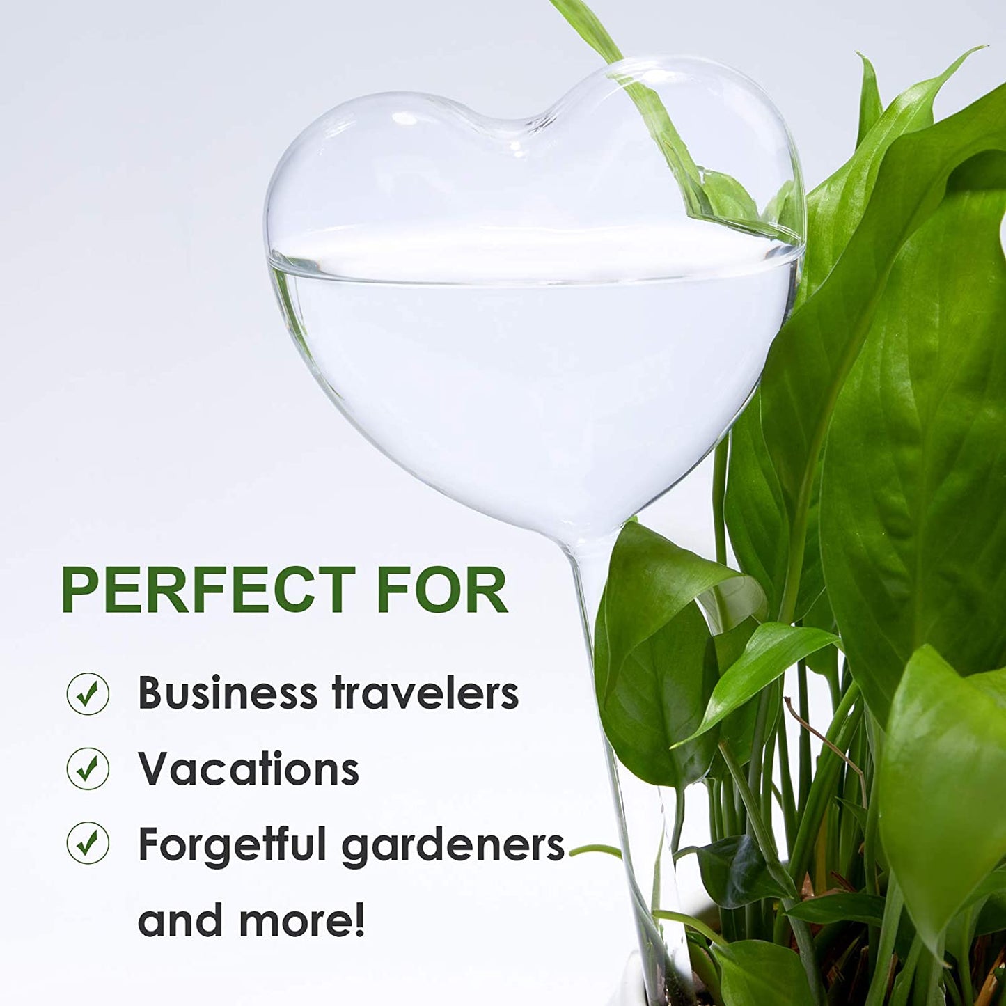 Self Watering Globes 2PC Heart-Shaped Plant Clear Glass Watering Stake Aqua Bulb