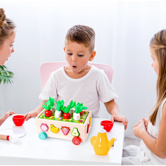 Wooden Educational Toy for Boys and Girls, Shape Sorting Colors Magnetic