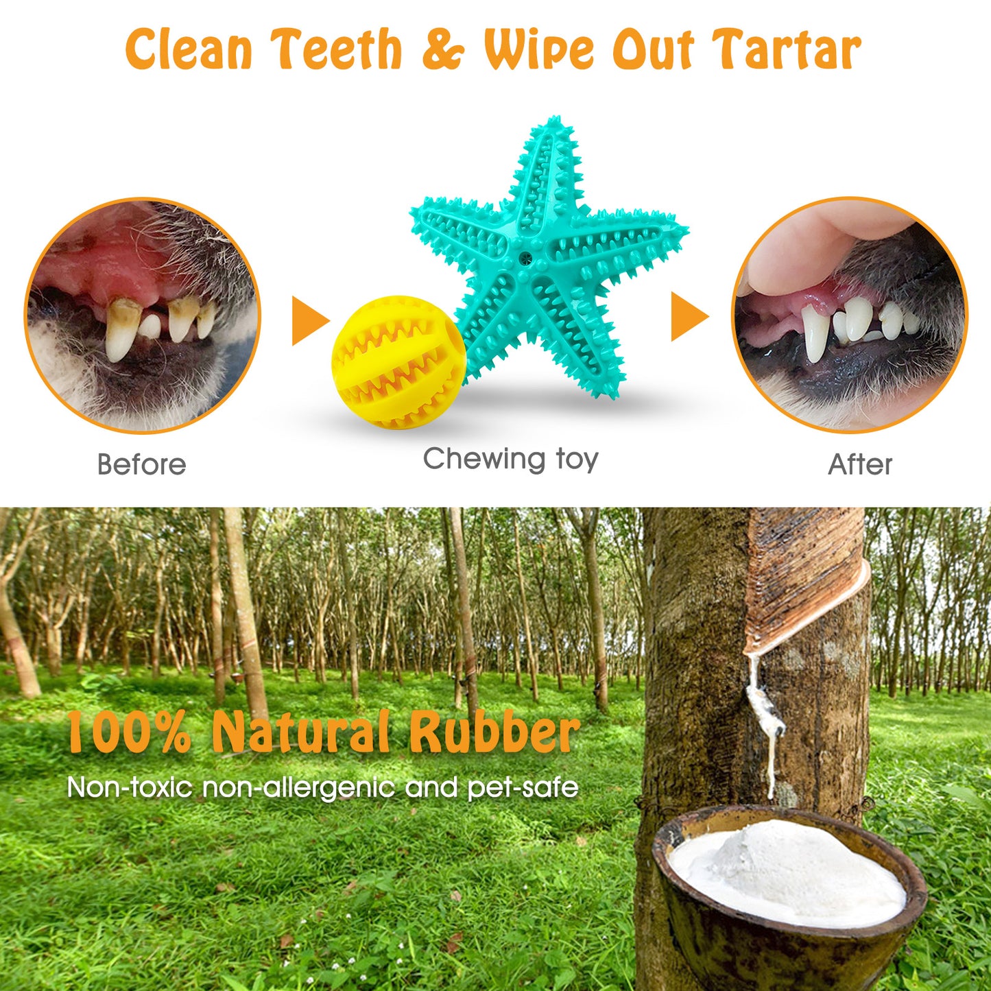 Dog Toy 2-In-1 Squeaky Starfish Chew Watermelon Treat Clean Teeth Massage Gums