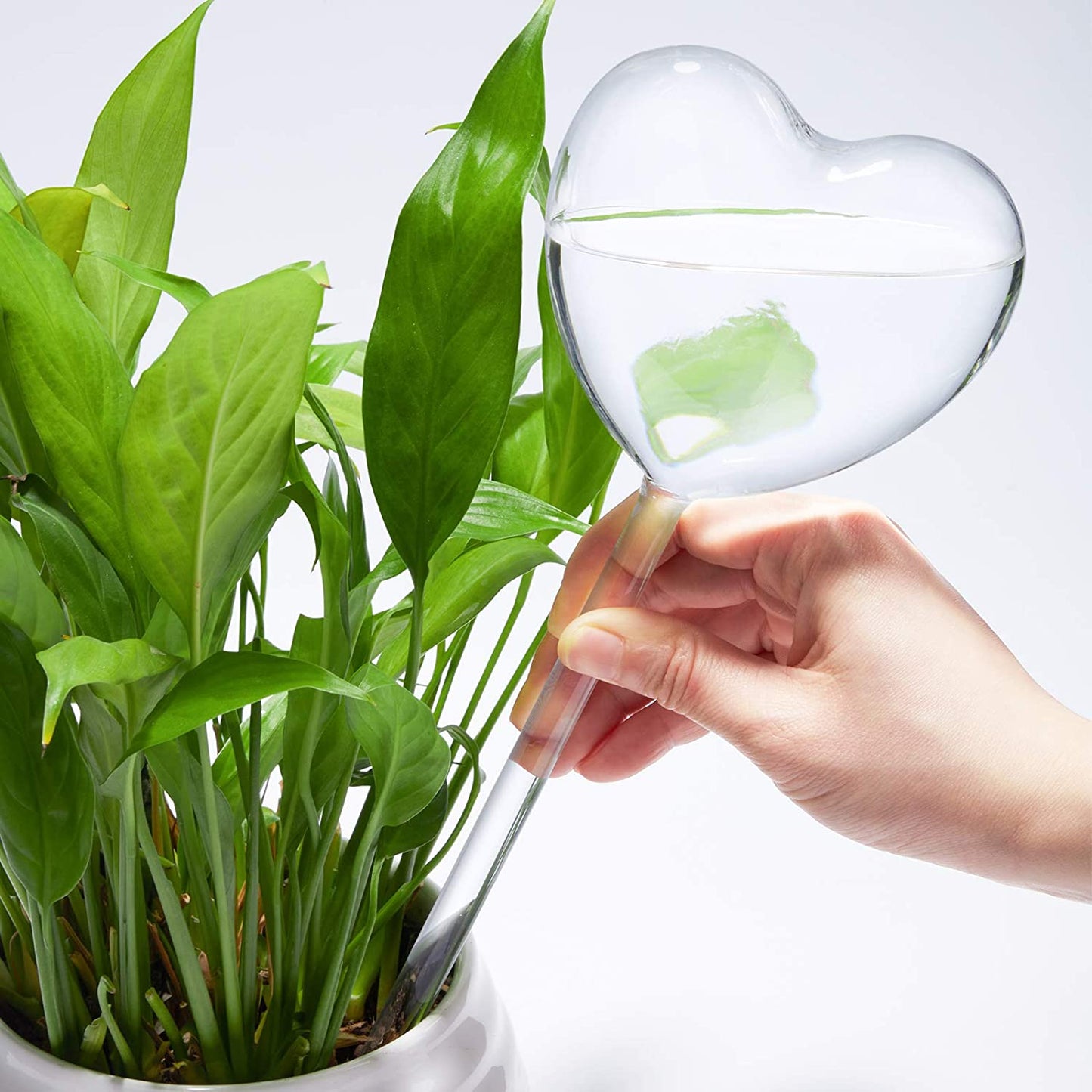 Self Watering Globes 2PC Heart-Shaped Plant Clear Glass Watering Stake Aqua Bulb