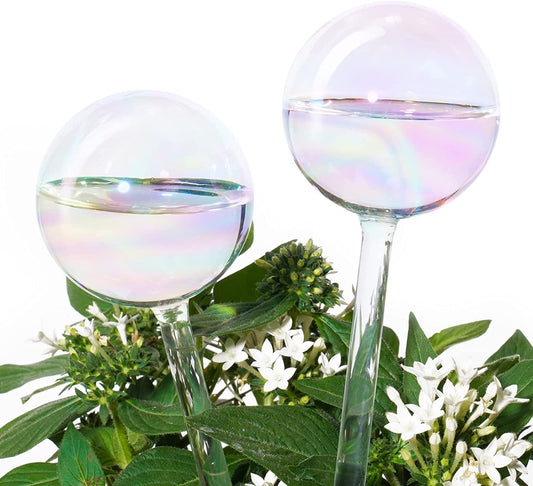 Light Iridescent Rainbow Gradient Clear Glass Self-Watering System Spikes 2PCS