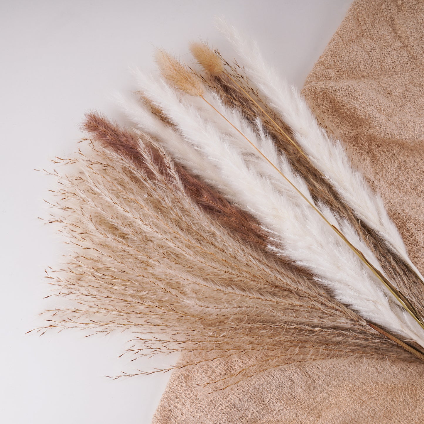 75PCS Natural Dried Pampas Grass Stems Decoration Set (15 White Pampas+15 Brow