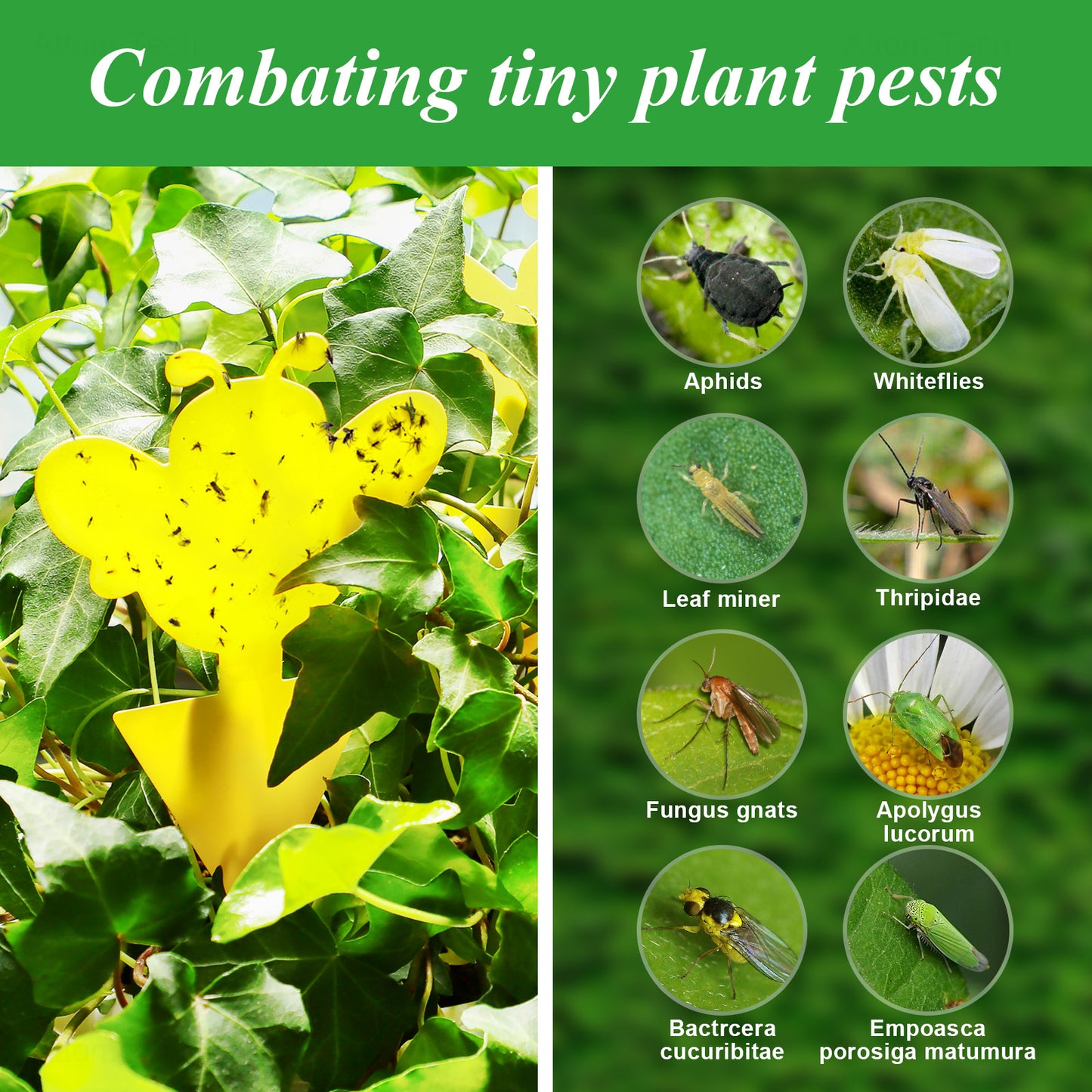 48-Pack Yellow Sticky Fruit Fly Catcher Plant Bug Traps+25PCS Twist Ties, 6 Pa