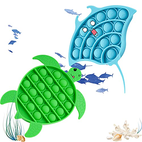 Fidget Pack 2PCS Push Pop Bubble Fidget Sensory Toy Set, Fidget Toys for Speci