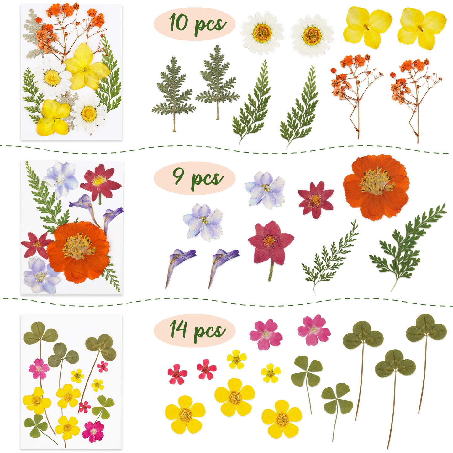 96PCS Real Pressed Dried Flowers with Leaves Natural Warm Color Set, Multiple