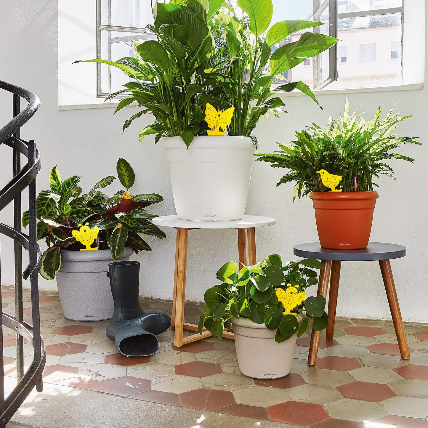 48-Pack Sticky Plant Bug Trap Indoor Outdoor Yellow Fly Catcher Nontoxic Odorl