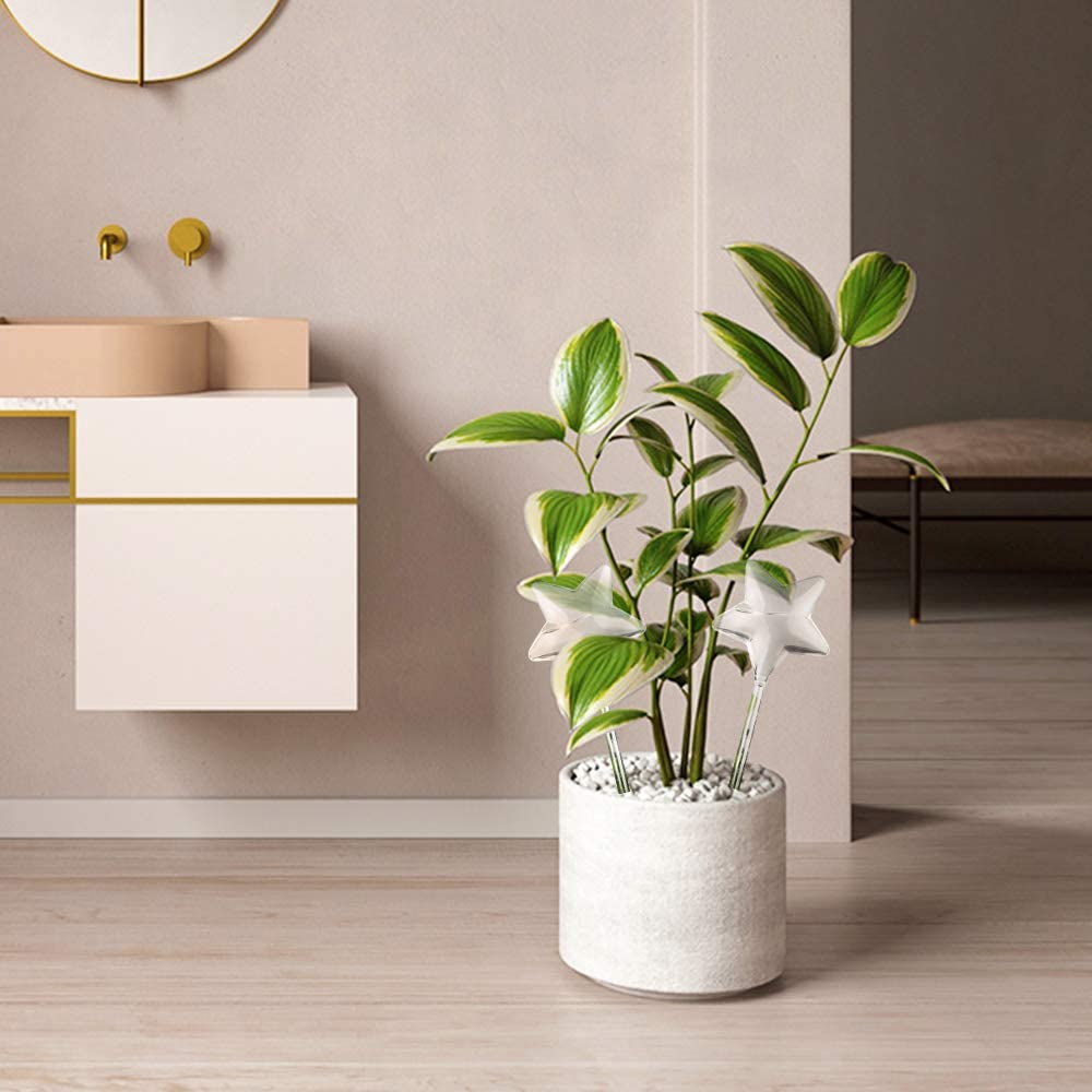 Self Watering Globes 2PCS Star-Shaped Clear Glass Plant Automatic Watering Stake