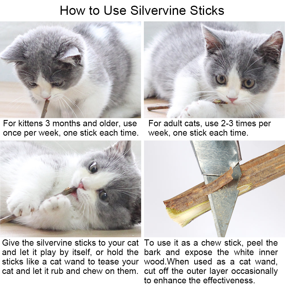 ZooZoo Catnip Silvevine Teaser Cat Toy Set (4xToys+20xMatatabi Chew Sticks)