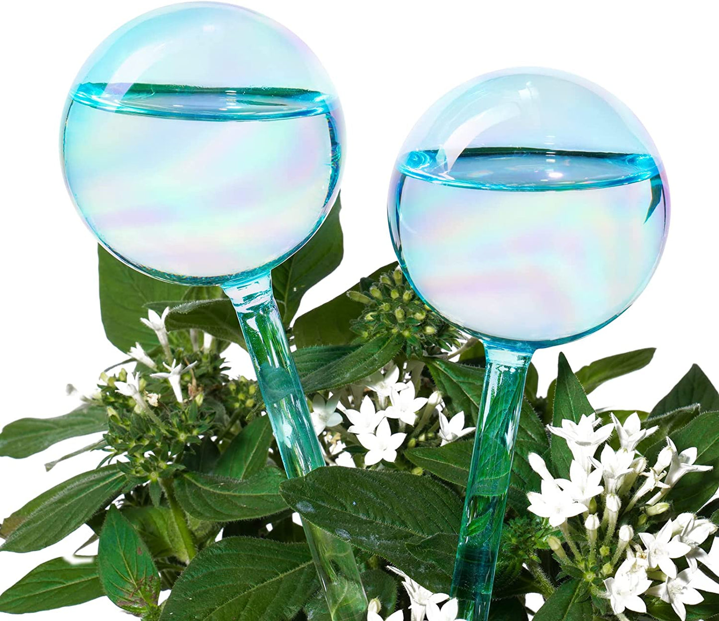 Aqua Spike Self-Watering Bulb 2PC 10" Iridescent Pearl Glass Globe Plant Waterer