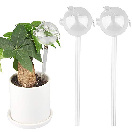 Self Watering Globes