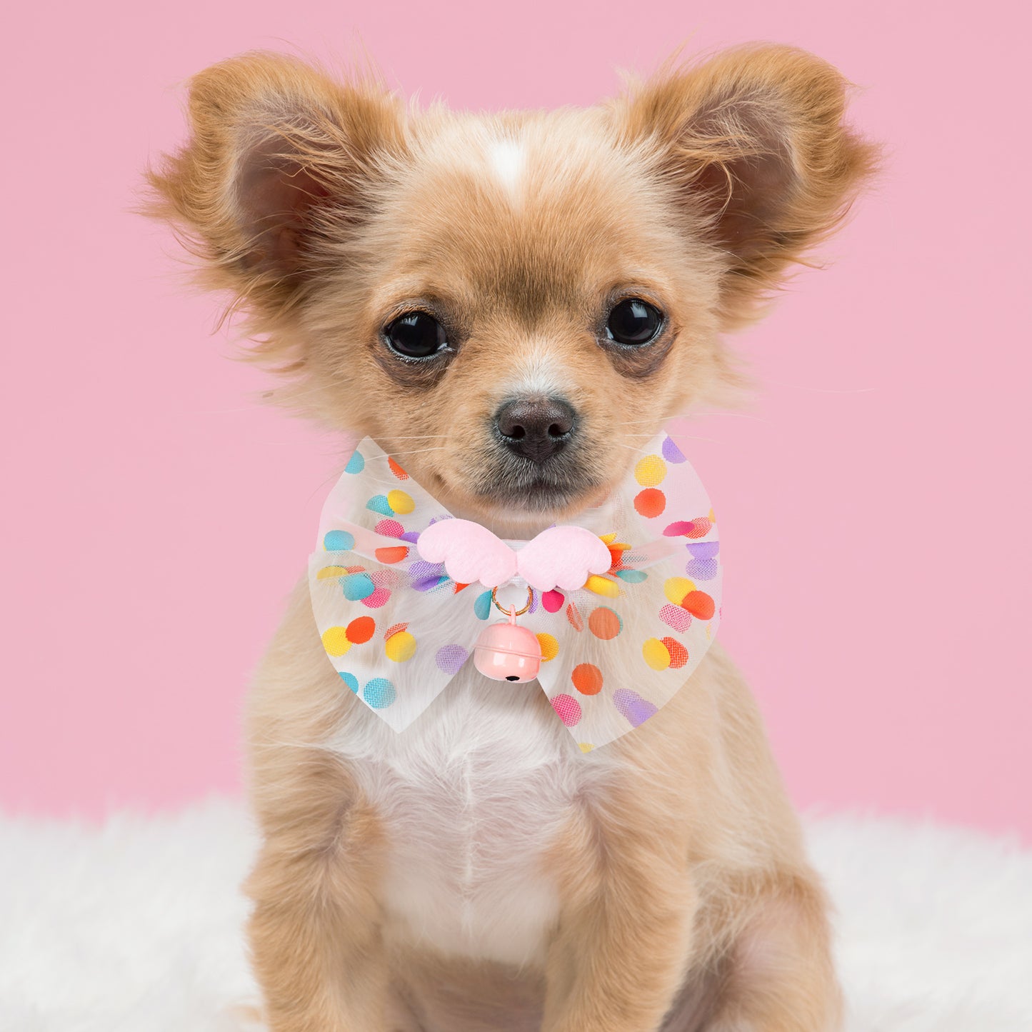 Cat Dog Collars with Bow Tie & Bell 2PCS Pet Safety Mesh Lace Colorful 2 Colors