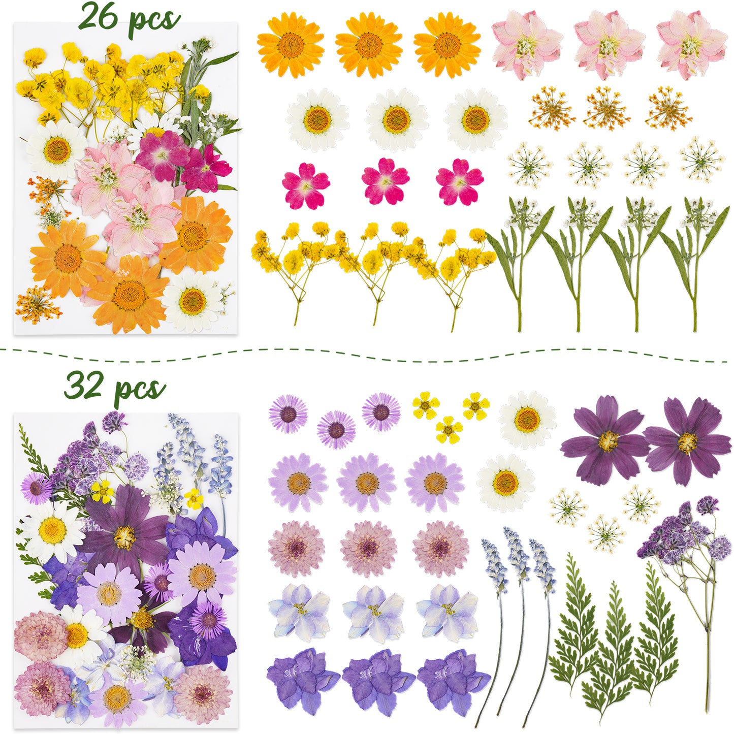 96PCS Real Pressed Dried Flowers with Leaves Natural Warm Color Set, Multiple