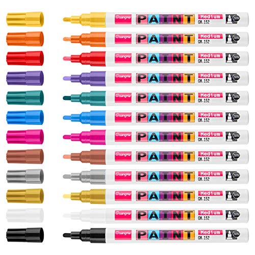 Permanent Paint Markers on Almost Anything Never Fade 12 Colors Strong Covering