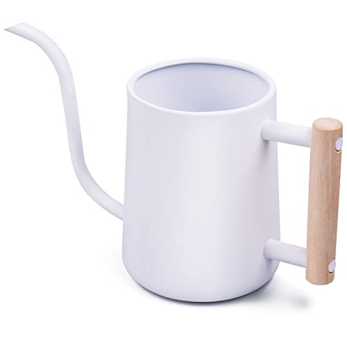 Plant Watering Can with Pour Long Spout 35oz 1L 1/5 Gallon Watering Can