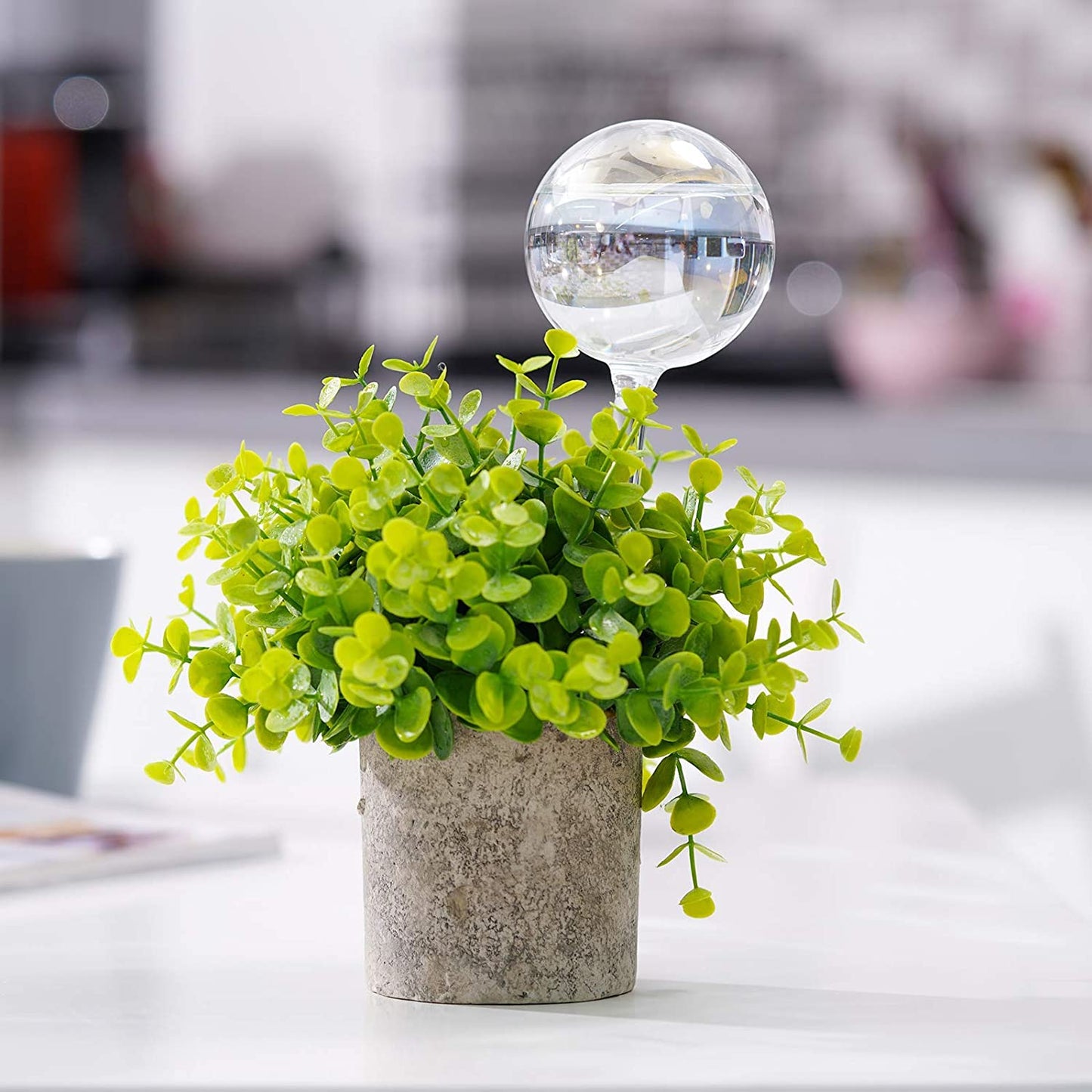 Light Iridescent Rainbow Gradient Clear Glass Self-Watering System Spikes 2PCS