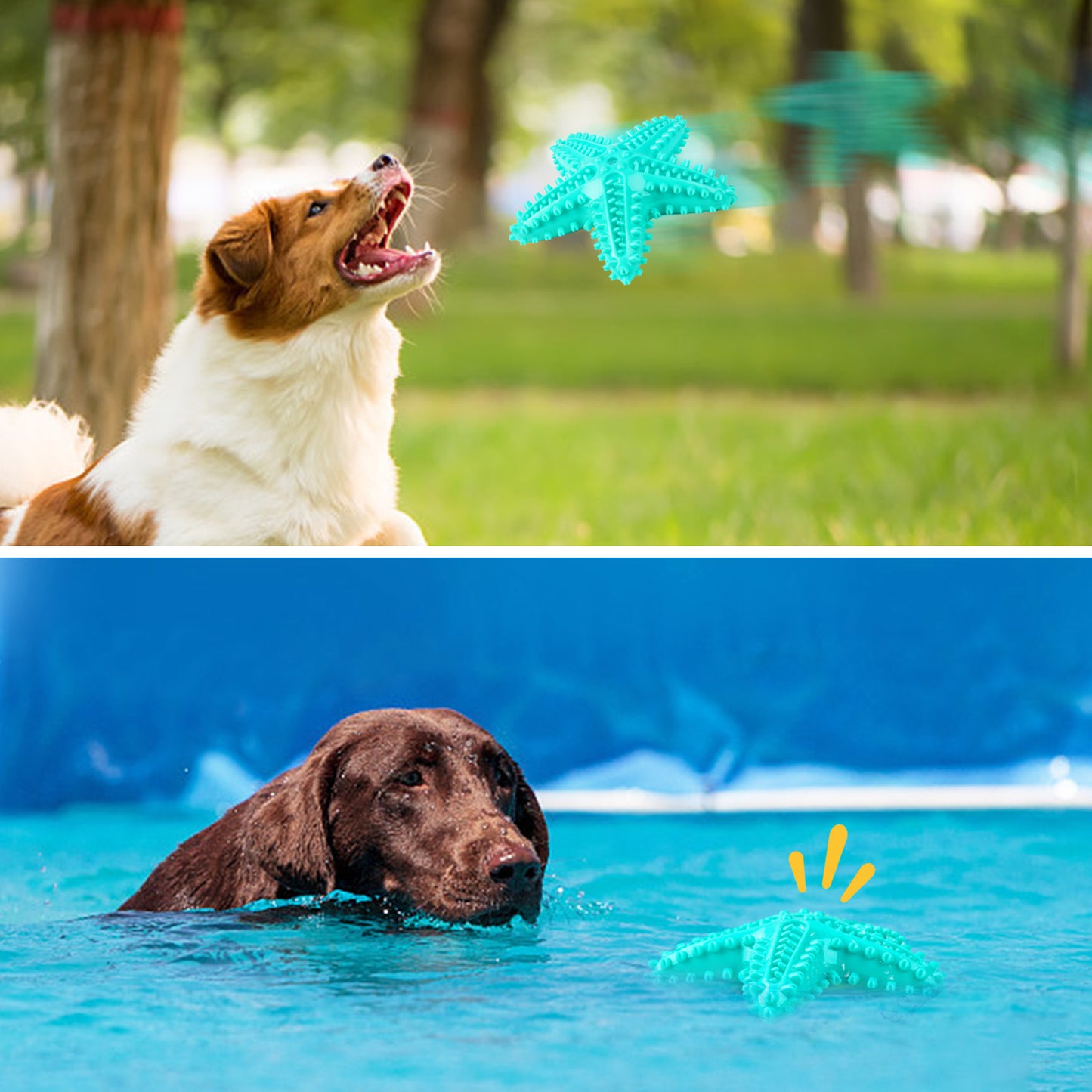 Dog Toy 2-In-1 Squeaky Starfish Chew Watermelon Treat Clean Teeth Massage Gums