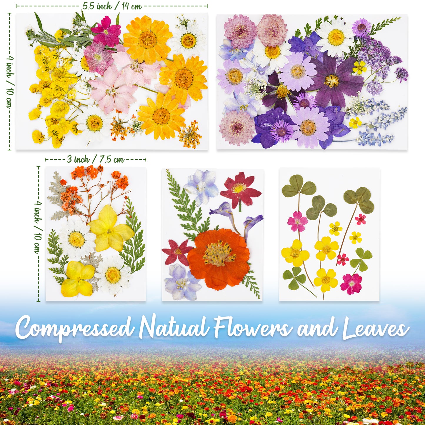 96PCS Real Pressed Dried Flowers with Leaves Natural Warm Color Set, Multiple