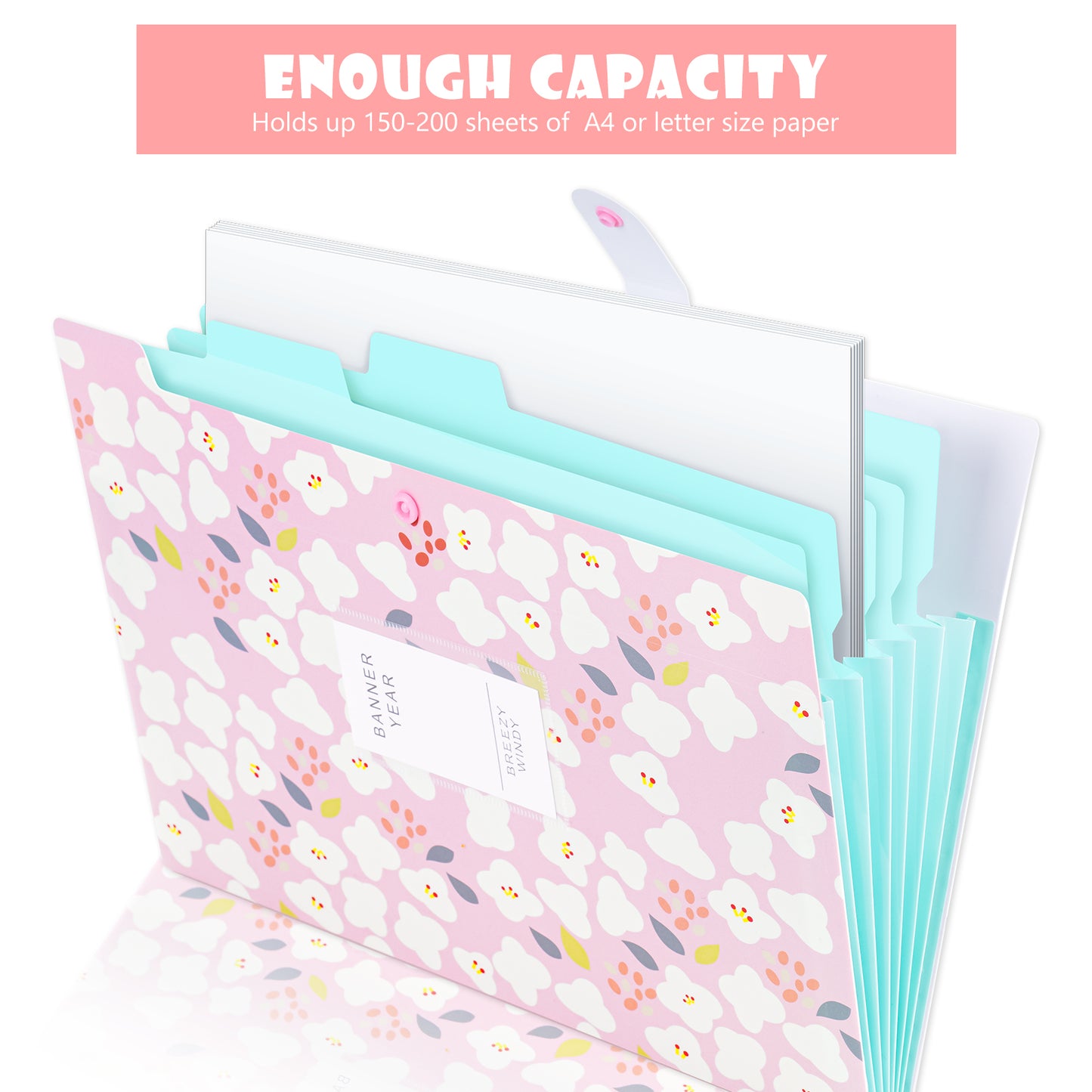 2-Pack Expanding Pockets File Folder A4 Letter Size & Dual Tip Oil-Based Paint