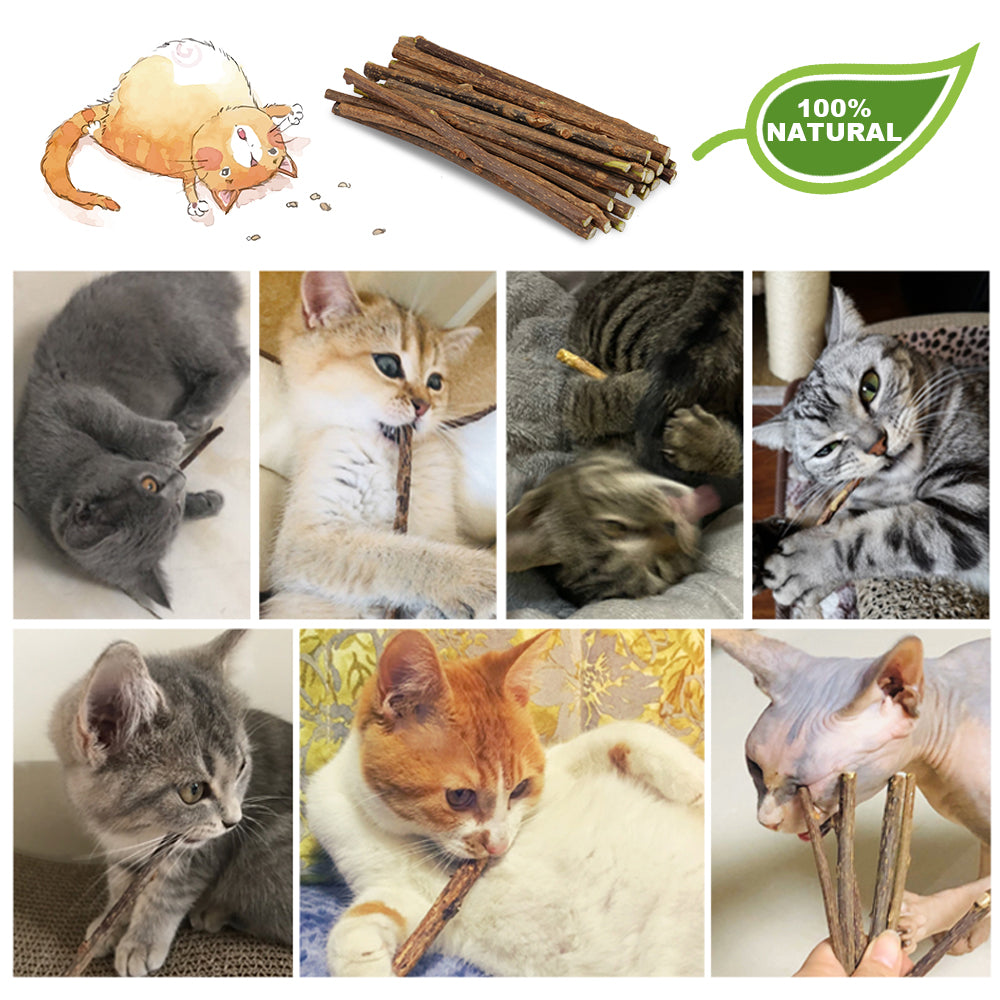 ZooZoo Catnip Silvevine Teaser Cat Toy Set (4xToys+20xMatatabi Chew Sticks)