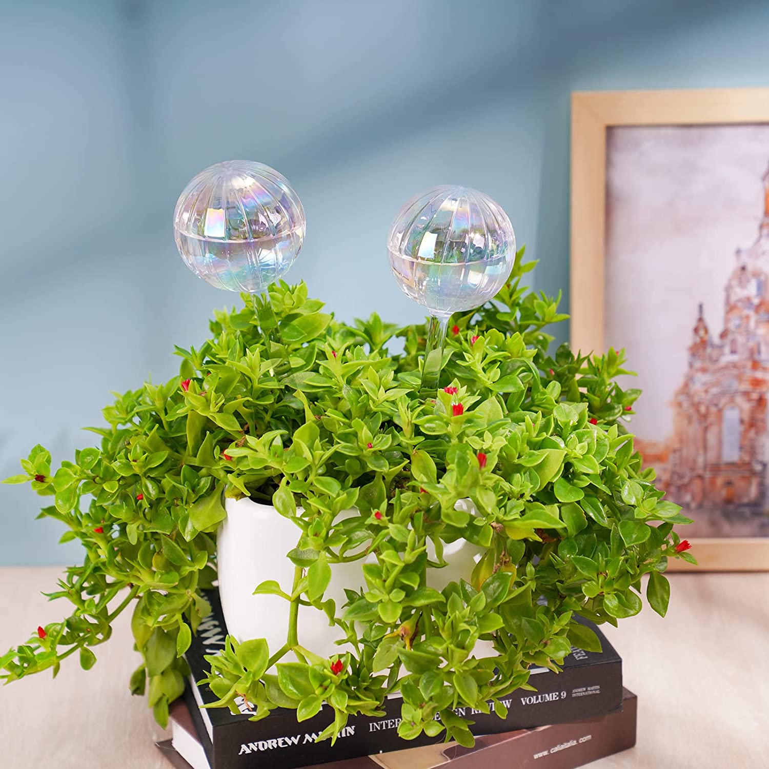 blumat glass plant self watering globes Aqua Spike Self-Watering Bulbs 2PCS 10" Iridescent Pearl Glass Globe P – Attom Tech