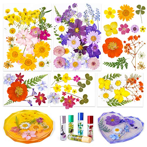96PCS Real Pressed Dried Flowers with Leaves Natural Warm Color Set, Multiple