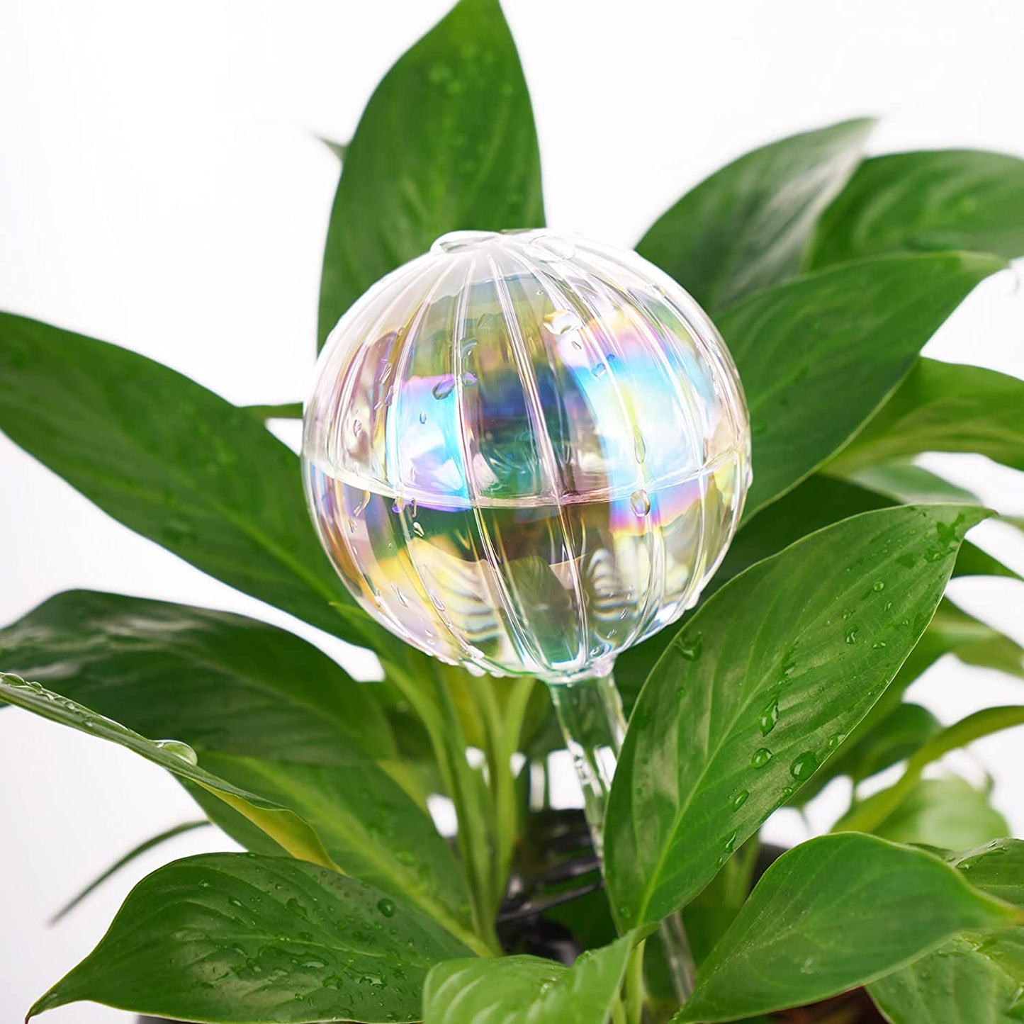 Aqua Spike Self-Watering Bulbs 2PCS 10" Iridescent Pearl Glass Globe Pot Plant