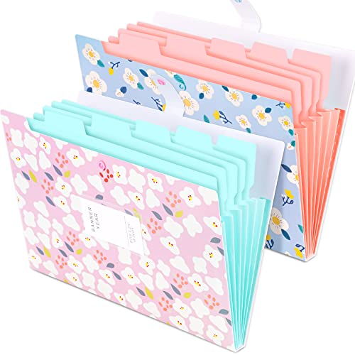 2-Pack Expanding Pockets File Folder A4 Letter Size & Dual Tip Oil-Based Paint