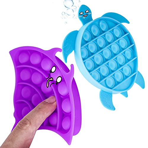 2-Pack Push Pop Bubble Fidget Sensory Toy Set, Fidget Toys for Special Needs S