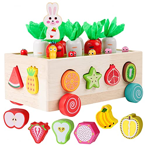Wooden Educational Toy for Boys and Girls, Shape Sorting Colors Magnetic