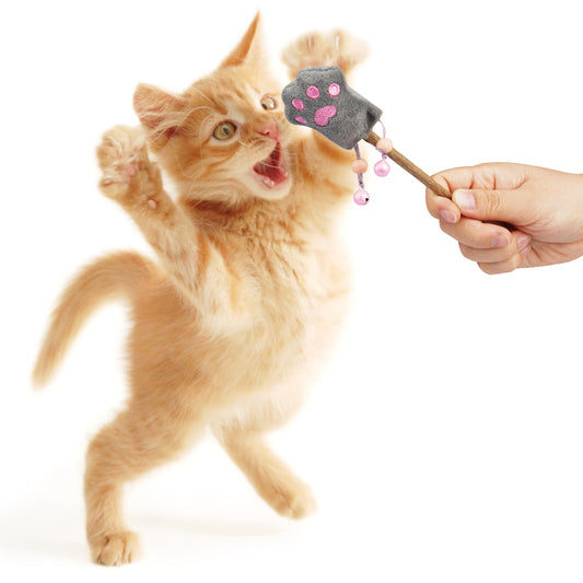 ZooZoo Catnip Silvevine Teaser Cat Toy Set (4xToys+20xMatatabi Chew Sticks)