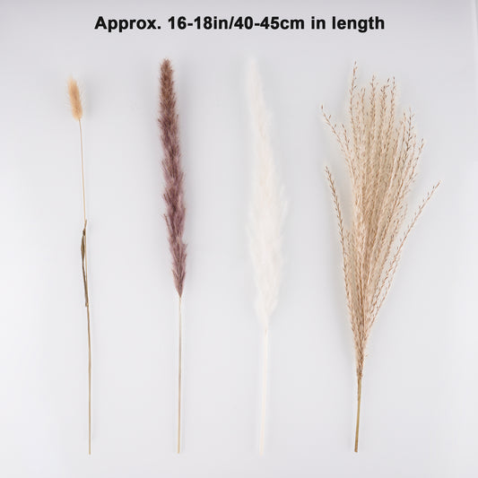 75PCS Natural Dried Pampas Grass Stems Decoration Set (15 White Pampas+15 Brow